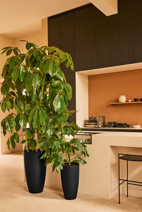 june round high 30cm schwarz